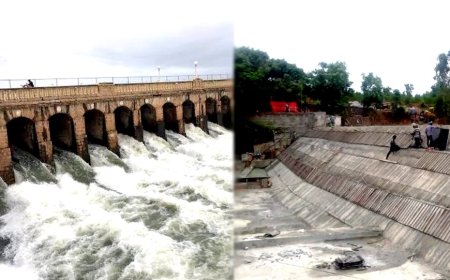 இந்தப் பக்கம் காவிரி.. அந்தப் பக்கம் பாலாறு.. உரிமைகளை விட்டுக்கொடுக்கிறதா தமிழ்நாடு அரசு?