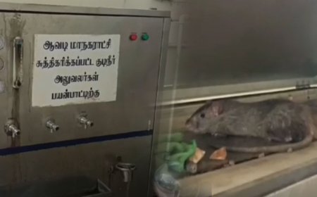 எலி இருந்தா என்ன? நீங்க தண்ணீ குடிக்கவேண்டியது தானே?..அலட்சியம் காட்டும் ஆவடி மாநகராட்சி...