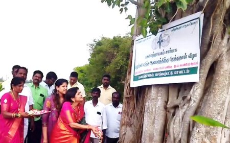 மறுபிறவி எடுத்த ஆலமரம்.. கேக்வெட்டி பிறந்தநாள் கொண்டாடிய மக்கள்...