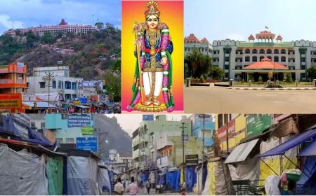 வணிகநோக்கத்தில் எந்த நடவடிக்கைகளும் இருக்கக்கூடாது.. பழநி கிரிவலப்பாதை வழக்கில் நீதிபதிகள் உறுதி...