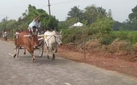 பழநியில் போலீஸ் கைது செய்த 5 பேரை காணவில்லை... பாஜகவினர் குற்றச்சாட்டு...