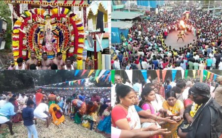 மயானக்கொள்ளை திருவிழா கோலாகலம்...  பிரசாதத்தை கொள்ளையடித்து சாமிதரிசனம் !!