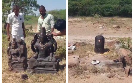 ஸ்ரீவில்லிப்புத்தூர் அருகே பழமையான திருமால், வைஷ்ணவி சிற்பங்கள் கண்டெடுப்பு...