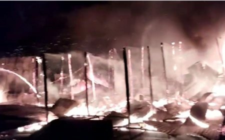 தஞ்சையில் அலங்கார பந்தல் அமைக்கும் பொருட்கள் வைத்திருந்த குடோனில் தீவிபத்து...