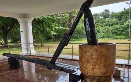 வ.உ.சி இழுத்த செக்கு அவர் வாழ்ந்த வீட்டிற்கு வருமா..? தமிழக அரசு பதிலளிக்க நீதிபதிகள் உத்தரவு...