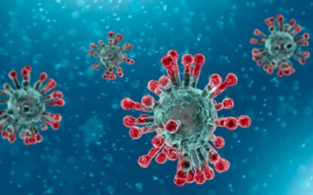 சராசரி ஆயுளைக் குறைத்த கொரோனா தொற்று... எவ்வளவு தெரியுமா?