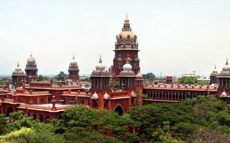 "ஒரு சிலையும் இருக்கக்கூடாது" - தலைவர்கள் சிலையை அகற்ற ஐகோர்ட் ஆர்டர்