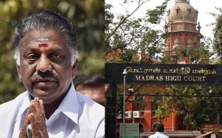 அதிமுகவின் பெயர், கொடி, சின்னத்தை ஓபிஎஸ் இனி பயன்படுத்தவே கூடாது...உறுதிசெய்த உயர்நீதிமன்றம்...