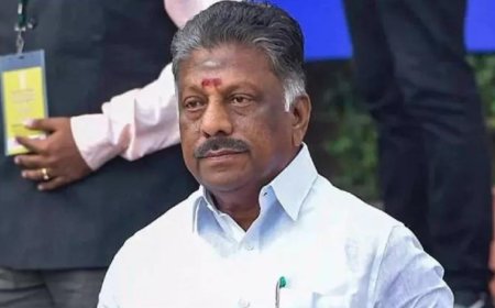 முருகனை தரிசிக்க பழனி சென்ற ஓபிஎஸ்... தங்கத்தேர் இழுத்தது யாருக்காக..?