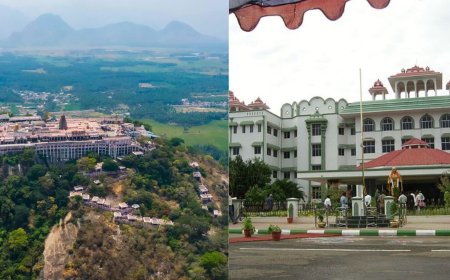 பழநியில் ஆக்கிரமிப்பு... தடுப்புகளை அமைக்க கோயில் நிர்வாகத்திற்கு நீதிமன்றம் உத்தரவு..