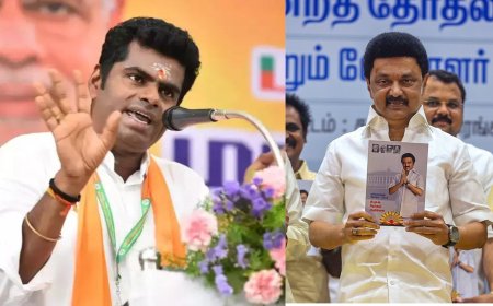 "சீர்மரபு பழங்குடியினரை ஏமாற்றும் திமுக" - அண்ணாமலை குற்றச்சாட்டு...