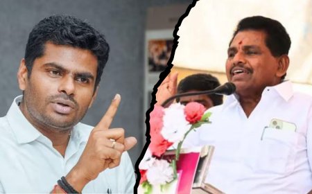 பிரதமர் குறித்து அனிதா ராதாகிருஷ்ணன் அவதூறு - அமைச்சருக்கு அண்ணாமலை கண்டனம்