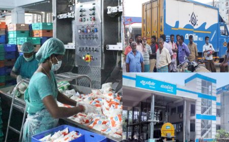 தவிர்க்க முடியாத காரணம்தான் தாமத்திற்கும் காரணம்...கிளியர் விளக்கம் கொடுத்த ஆவின்...