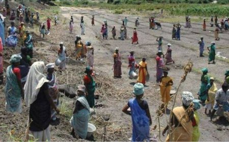 100 நாள் வேலைத் திட்ட பணியாளர்களுக்கு ஊதியம் உயர்வு... மத்திய அரசு அரசாணை வெளியீடு..