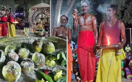 9 எலுமிச்சை பழங்கள் ரூ.2.36 லட்சம்..!    அப்படி என்ன ஸ்பெஷல்..?