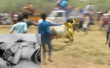 அனுமதியின்றி மஞ்சுவிரட்டுப் போட்டி - காளை முட்டி இளைஞர் பலி