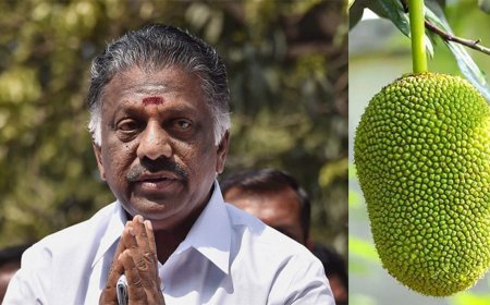 ஓ.பன்னீர் செல்வத்திற்கு பலாப்பழச் சின்னம்... அறிவித்தது தேர்தல் ஆணையம்!