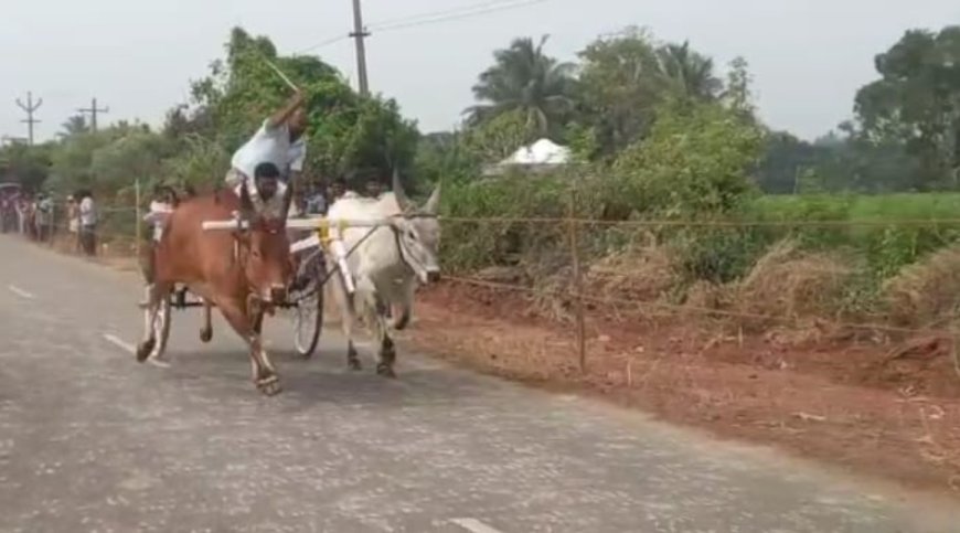 பழநியில் போலீஸ் கைது செய்த 5 பேரை காணவில்லை... பாஜகவினர் குற்றச்சாட்டு...