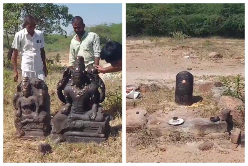 ஸ்ரீவில்லிப்புத்தூர் அருகே பழமையான திருமால், வைஷ்ணவி சிற்பங்கள் கண்டெடுப்பு...