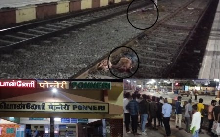 தண்டவாளத்தை கடக்க முயற்சி.. ரயில் மோதி பலியான நால்வர்.. தாம்பரம், திருவள்ளூரில் சோகம்