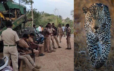 அச்சுறுத்தும் சிறுத்தை...  அச்சத்தில் மக்கள்... 9 பள்ளிகளுக்கு விடுமுறை...