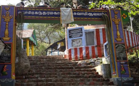 பங்குனி அமாவாசையொட்டி சதுரகிரியில் 2 மாதங்களுக்கு பிறகு பக்தர்களுக்கு அனுமதி…