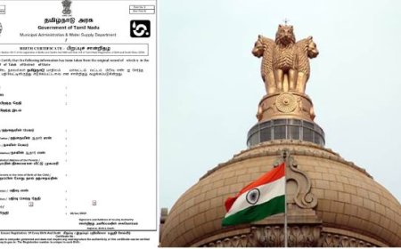 இனி குழந்தையின் பிறப்பு பதிவேட்டில் இதெல்லாம் கட்டாயம்.. மத்திய அரசு அதிரடி அறிவிப்பு