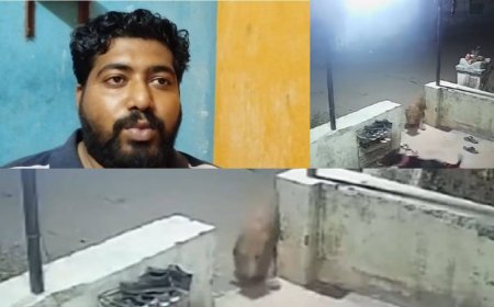 மயிலாடுதுறை சிறுத்தை நடமாட்டம்.. எல்லாமே பொய்யா கோப்பால்.. பகிரங்க மன்னிப்பு கேட்ட இளைஞர்