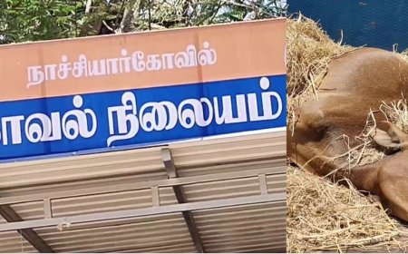 செத்துப்போன பசுமாடு.. எங்க போச்சு தெரியுமா? அதிர்ந்த கும்பகோணம்.. ஹோட்டலில் சாப்பிடும் முன் யோசிங்க