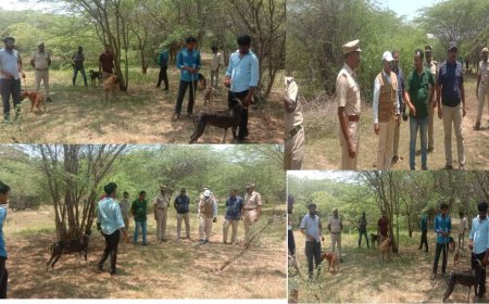 ஒரு சிறுத்தை.. வேட்டையாட கிளம்பிய எட்டு நாய்கள்.. மயிலாடுதுறையில் பரபர தேடுதல் வேட்டை