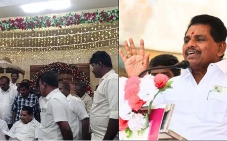 "உங்கள் ஊருக்கு செல்லுங்கள்".. அமைச்சர் அனிதா ராதாகிருஷ்ணனை விரட்டிய உடன்பிறப்புகள்