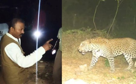 மயிலாடுதுறையில் சிறுத்தையை பிடிக்கும் பணி தீவிரம்... அதிகாரிகளின் ஆய்வால் முகம்சுழிக்கும் பொதுமக்கள்...