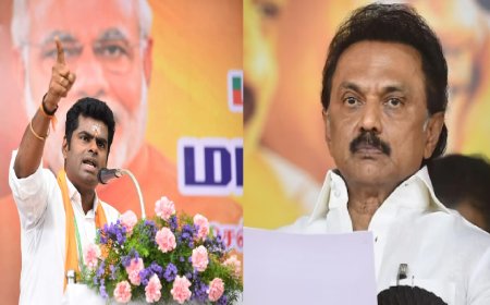 கோவையில் கிரிக்கெட் மைதானமா? ஸ்டாலின் போட்ட பந்து... தூக்கி அடிச்ச அண்ணாமலை...