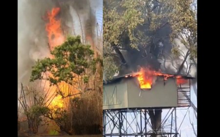 நீலகிரி வனப்பகுதியில் ஏற்பட்ட காட்டுத் தீ...  சாம்பலான தனியார் விடுதி மரவீடு...