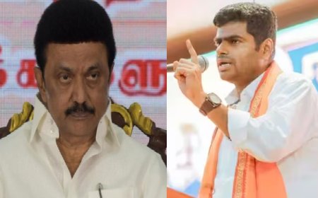 "போலி சமூகநீதி நாடகமாடும் திமுக..." "முட்டுச்சந்தை கூட திமுக-வால் காப்பாற்ற முடியாது..." முதலமைச்சருக்கு அண்ணாமலை பதிலடி...