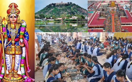 பழநி முருகனுக்கு அள்ளிக்கொடுத்த பக்தர்கள்.. பங்குனி உத்திர விழா உண்டியல் வசூல் ரூ.5.29 கோடி