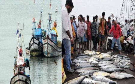 தமிழ்நாட்டில் ஏப்ரல் 15 முதல் மீன்பிடி தடைக்காலம் அமல்..  மீனவர்களுக்கு ரெஸ்ட்.. மீன்கள் விலை உயருமா?