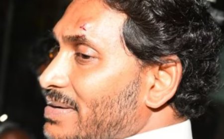 ஆந்திர முதலமைச்சர் ஜெகன் மோகன் ரெட்டியை கல்லால் தலையில் தாக்கிய நபர் மீது கொலை முயற்சி வழக்குப்பதிவு...