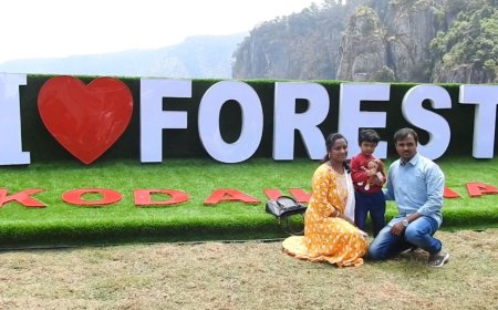 கொடைக்கானலில் குணா குகை மட்டும் பேமஸ் இல்ல.. தூண் பாறையில் வனத்துறை செய்த செயல்.. சூப்பர்ல