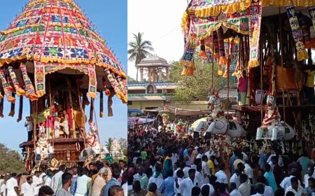 பட்டுக்கோட்டை முத்துமாரி அம்மன் கோயில் தேரோட்டம்... ஆடி அசைந்து வந்த தேரில் அருள்பாலித்த அம்மன்.. பக்தர்கள் பரவசம்