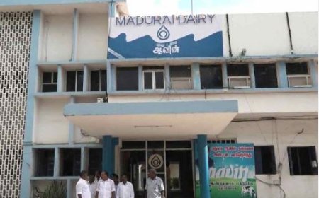 மதுரை ஆவின் நிறுவனத்தில் இரவு நேரங்களில் நடைபெறும் சம்பவம்... மக்கள் எதிர்ப்பு.. விசாரணை ஒத்திவைப்பு!