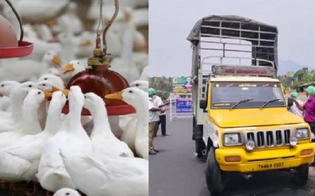 கேரளாவில் பரவும் திடீர் காய்ச்சல்... எச்சரிக்கும் மருத்துவர்கள்... தமிழக எல்லையில் கண்காணிப்பு தீவிரம்...