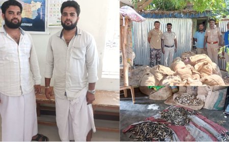 இரட்டையர் வீட்டில் மூட்டை மூட்டையாக சிக்கிய பொருட்கள்.. அதிர்ந்து போன போலீசார்!