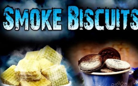 உயிரைப் பறிக்கும் Smoking Biscuit காவு வாங்கும் Liquid Nitrogen? மக்களே உஷார்..