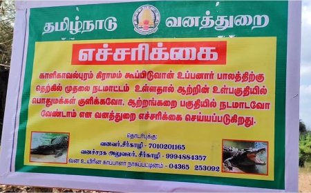 ஆற்றில்  மிதந்து வரும் முதலை.. அச்சத்தில் சீர்காழி மக்கள்.. எச்சரிக்கும் வனத்துறை