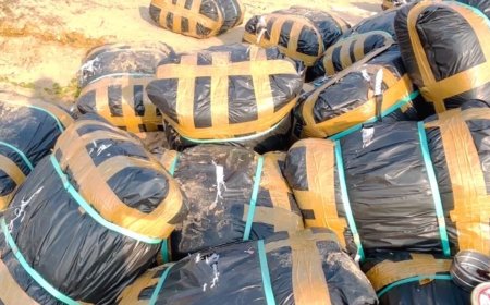 திருச்செந்தூரில் மூட்டை மூட்டையாய்ச் சிக்கிய பீடி இலைகள்.. இலங்கைக்கு கடத்த முயற்சி.. பறிமுதல் செய்த அதிகாரிகள்