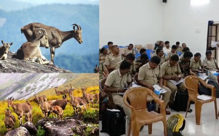 ஏப்ரல் 29ல் வரையாடு கணக்கெடுப்பு தொடக்கம்.. 3 நாட்கள் நடைபெறும்.. வனத்துறை அறிவிப்பு