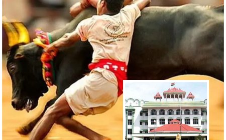 ஜல்லிக்கட்டு நடத்த அனுமதி கோரி மனு… சிவகங்கை மாவட்ட ஆட்சியருக்கு நீதிமன்றம் அதிரடி உத்தரவு…