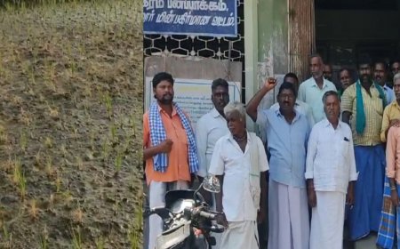 கரண்ட் கட்.. கருகும் பயிர்கள்.. நிரந்தர தீர்வு எப்போது? குமுறும் ராணிப்பேட்டை விவசாயிகள்