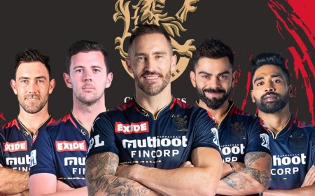 RCB பிளேஆஃப்ஸ் சுற்றுக்கு முன்னேற உள்ள வாய்ப்புகள் என்ன?